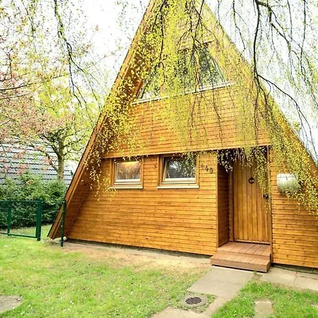Premium House * Damp