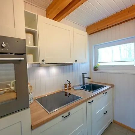 Premium House Damp