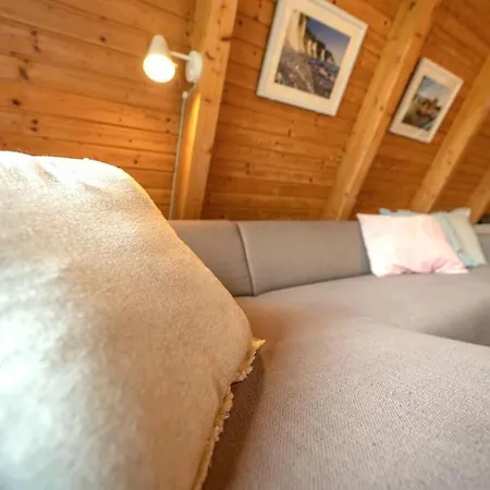 Premium House Damp